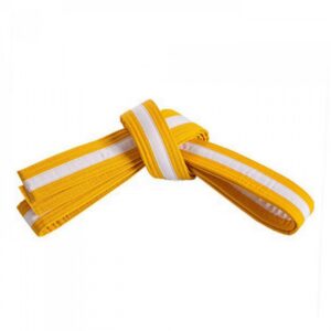 Taekwondo Belt