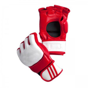 MMA Glove