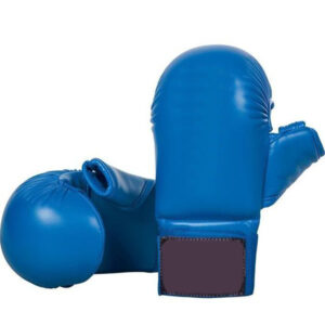 Karate Mitt