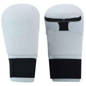Karate Mitt