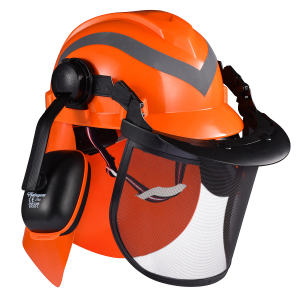 Safety Helmet